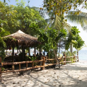 Phi Phi